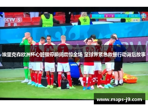 埃里克森欧洲杯心脏骤停瞬间震惊全场 足球界紧急救援行动背后故事
